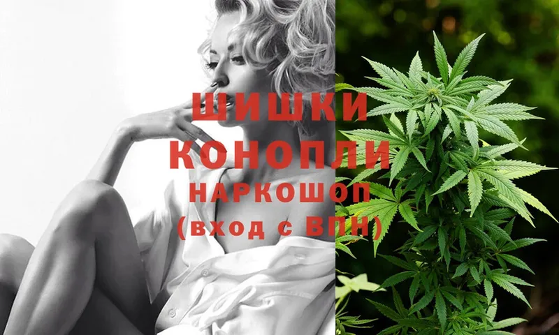 Каннабис SATIVA & INDICA  дарнет шоп  Лесозаводск 